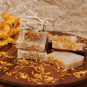 Ringelblume Ringelblume