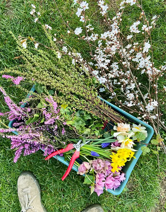 Anna – Floristin & Slowflower-Bewegung